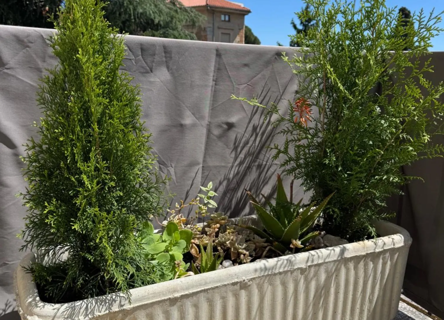 אופטיה Central Apartment Agatha
